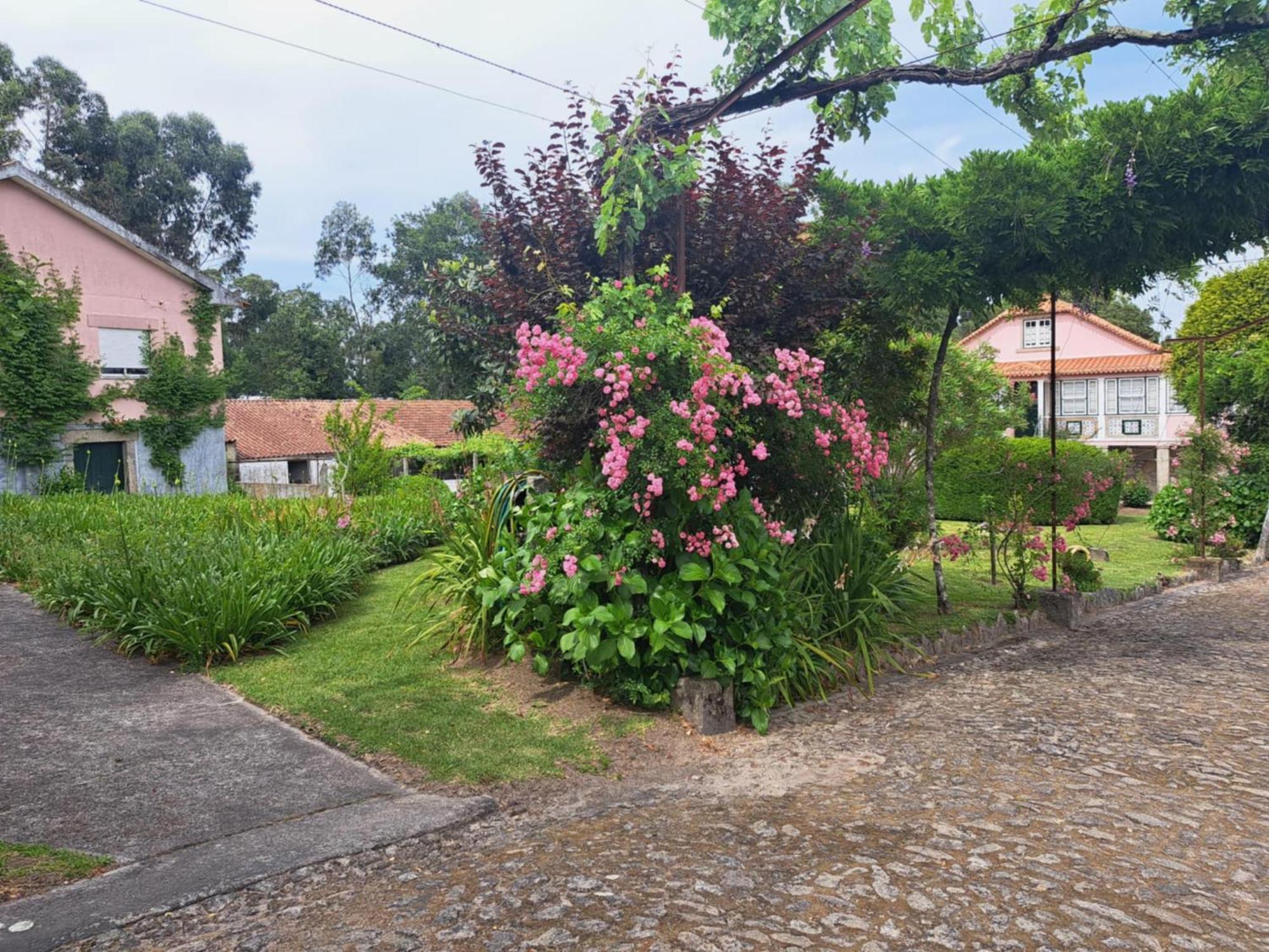 Maison d'hôtes Quinta Do Vale Do Monte à Viana do Castelo Extérieur photo